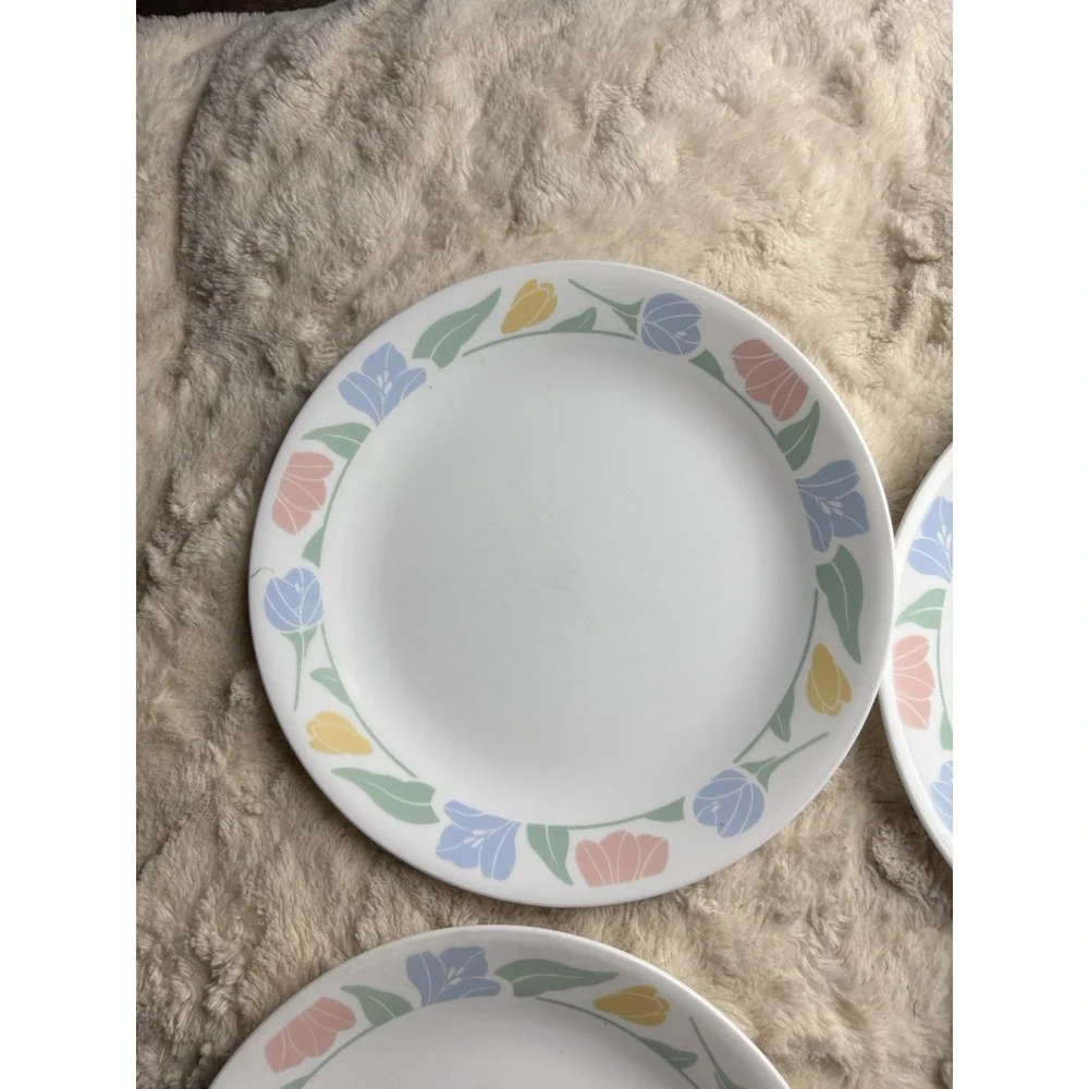 Corelle‎ Friendship Dinner Plates 10.25